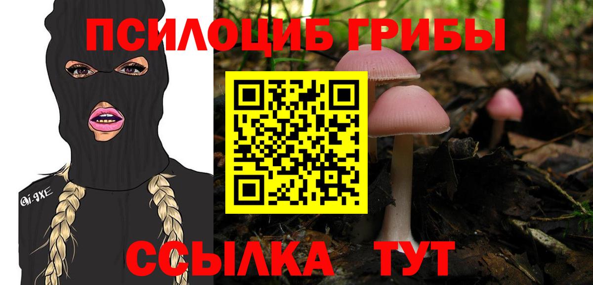 Ликино-Дулёво  Галлюциногенные грибы MAGIC MUSHROOMS  Вход с VPN 